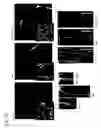 Fig. 12 - MUTATED PLANT AND METHOD FOR PRODUCTION THEREOF