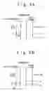 Fig. 06 - THIN FILM SEMICONDUCTOR DEVICE AND METHOD OF MANUFACTURING THE SAME