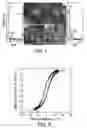 Fig. 07 - Method for making carbon nanotubes with embedded nanoparticles