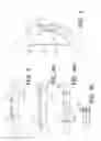 Fig. 04 - Manipulable lumbar support utilizing active material actuation