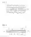 Fig. 02 - Sliding apparatus and sliding structure