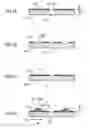 Fig. 02 - Method of manufacturing at least one projecting section of nozzle plate, nozzle plate, inkjet head and image forming apparatus