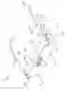Fig. 02 - Eyeglasses