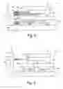 Fig. 06 - PROJECTION OBJECTIVE OF A MICROLITHOGRAPHIC PROJECTION EXPOSURE APPARATUS