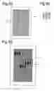 Fig. 05 - Method of providing alignment marks, device manufacturing method and lithographic apparatus