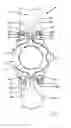 Fig. 02 - Wristwatch