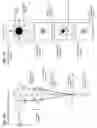 Fig. 02 - Optical pickup apparatus and focal-point adjusting method