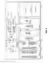 Fig. 07 - Mobile nodal based communication system, method and apparatus