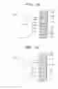 Fig. 12 - Recording medium having recorded thereon coded information using plus and/or minus rounding of images