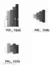 Fig. 09 - Methods and Devices for Quantitative Analysis of X-Ray Images