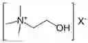 Fig. 01 - Choline: Early Detector of Cancer