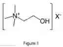 Fig. 02 - Choline: Early Detector of Cancer
