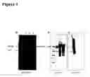 Fig. 02 - Human Glycoform