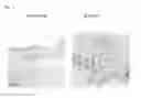 Fig. 02 - Method of evaluating or selecting agents for preventing or improving pigmented spots