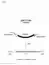 Fig. 02 - Method for producing an L-amino acid using a bacterium of the family with attenuated expression of the gene