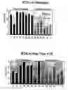Fig. 01 - Prognosis determination in ewing sarcoma patients by means of genetic profiling