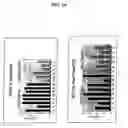 Fig. 06 - Prognosis determination in ewing sarcoma patients by means of genetic profiling