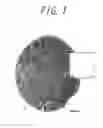 Fig. 02 - Substrate, a method for quantification of a target substance
