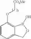 Fig. 197 - Boron-containing small molecules
