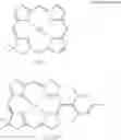 Fig. 49 - Synthesis of chlorins and phorbines with enhanced red spectral features