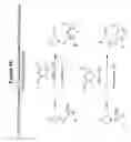 Fig. 09 - Active esters of N-substituted piperazine acetic acids, including isotopically enriched versions thereof