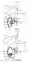 Fig. 10 - Anastomotic device
