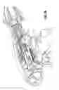 Fig. 09 - Endoscopic surgical clip applier