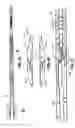 Fig. 36 - Endoscopic surgical clip applier