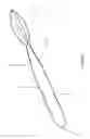 Fig. 02 - Fishing weight