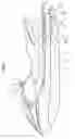 Fig. 02 - Steering unit for small watercraft