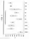 Fig. 02 - Adhesive formulations for bonding composite materials