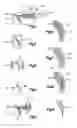 Fig. 02 - Refractory metal core