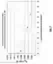 Fig. 08 - Methods of limiting leak off and damage in hydraulic fractures