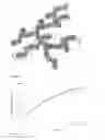 Fig. 02 - FORMULATION COMPRISING A POLYMERIZABLE MONOMER AND/OR A POLYMER AND, DISPERSED THEREIN, A SUPERPARAMAGNETIC POWDER