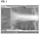 Fig. 02 - Fiber aggregate and fabricating method of the same