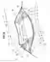 Fig. 06 - Vehicle airbag device and method for manufacturing the same