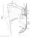 Fig. 02 - Driver-side floor structure of vehicle
