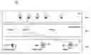 Fig. 01 - LIGHTING SYSTEM WITH LINKED GROUPS