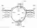 Fig. 01 - Transmission apparatus