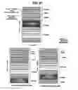 Fig. 19 - Method and apparatus for processing padding buffer status reports