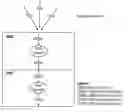 Fig. 01 - Multi-receiver frame aggregation