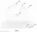 Fig. 05 - Paddlewheel apparatus