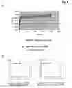 Fig. 10 - Bivalent, bispecific antibodies