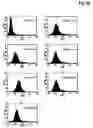 Fig. 14 - Bivalent, bispecific antibodies