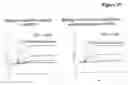 Fig. 22 - Bivalent, bispecific antibodies