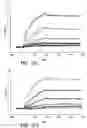 Fig. 29 - Bivalent, bispecific antibodies
