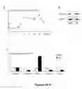 Fig. 03 - Methods and compositions for treating inflammatory conditions