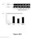 Fig. 04 - Methods and compositions for treating inflammatory conditions