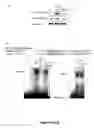 Fig. 05 - Methods and compositions for treating inflammatory conditions
