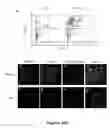 Fig. 07 - Methods and compositions for treating inflammatory conditions